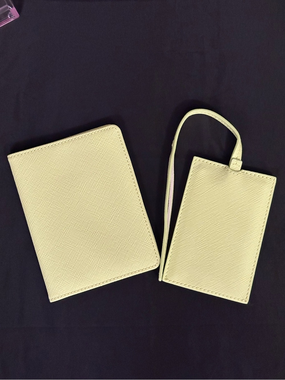 Stoney Clover Lane Passport Holder & Luggage Tag in LIME - HTF Color!